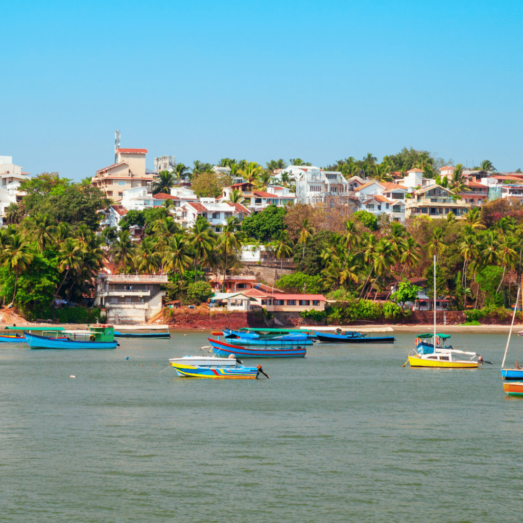 Boat Tours Goa