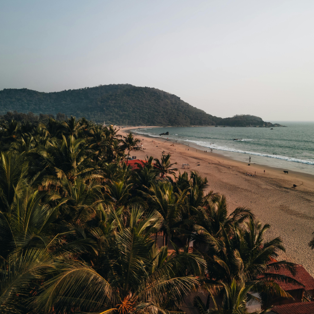Couple Dinner Cruise In Goa