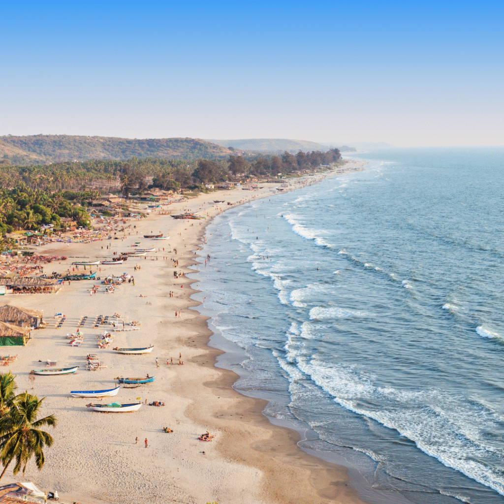 Best Dinner Cruise In Goa